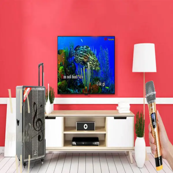 Hướng dẫn kết nối tivi với loa kéo để hát karaoke cực thoả thích